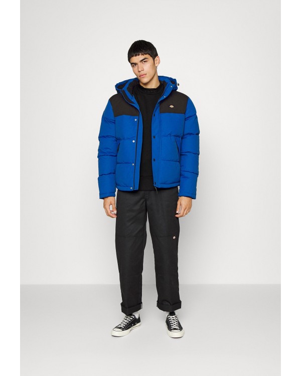 Cazadora DICKIES Glacier View Puffer