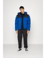Cazadora DICKIES Glacier View Puffer