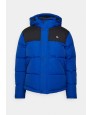 Cazadora DICKIES Glacier View Puffer