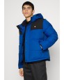 Cazadora DICKIES Glacier View Puffer