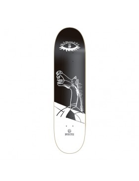 Los mejores productos de skateboard. Tablas de skate, ruedas, ejes skate, rodamientos, lija, patines completos